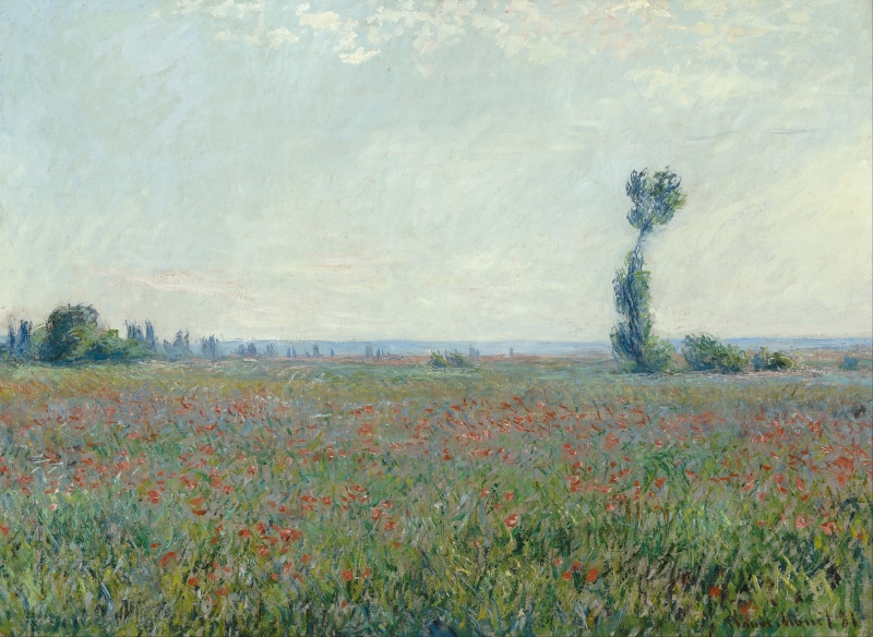 poppies, claude monet, nature, summer, spring, landscape, cloud - sky, beauty in nature, outdoors, outside, scenics - nature, red, oil on canvas, clouds
