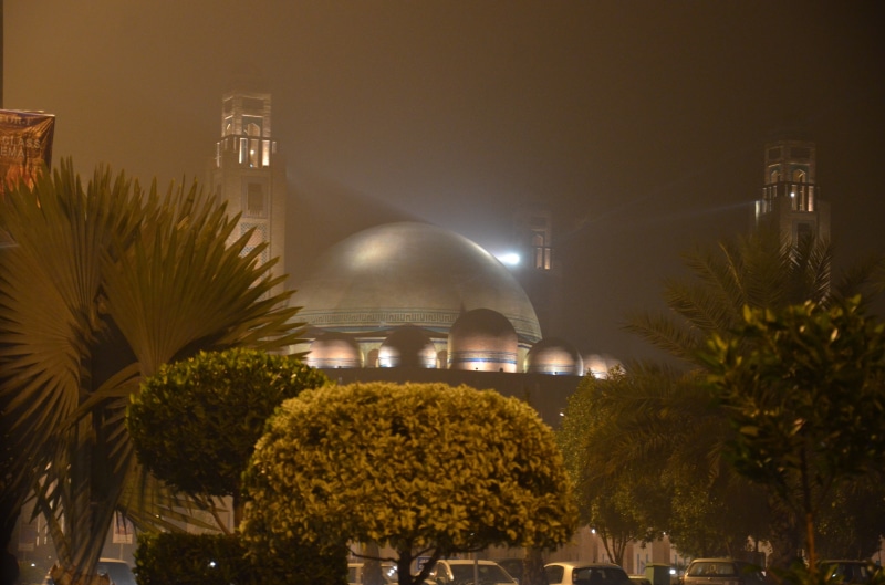 palm leaf, growth, palm tree, city, plant, tree, street light, Pakistan, nature, built structure, illuminated, 4K, architecture, no people, night, building