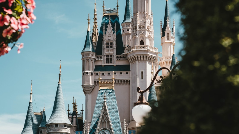 disneyland, theme park, orlando, flowers, tree, landmark, walt disney world, united states, florida, magic kingdom, america, recreation, disney, castle