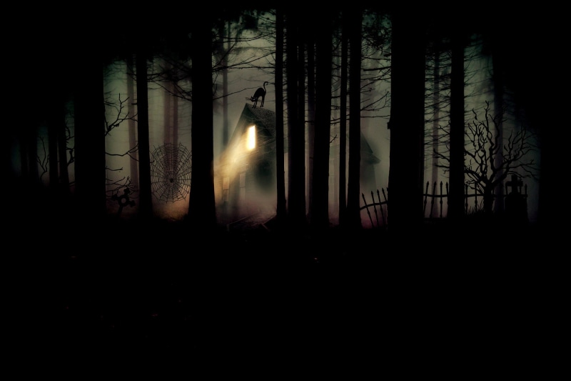 halloween, beauty in nature, silhouette, grave, forest, creepy, night, cemetery, witchs house, cat, land, weird, old cemetery, no people, house, window