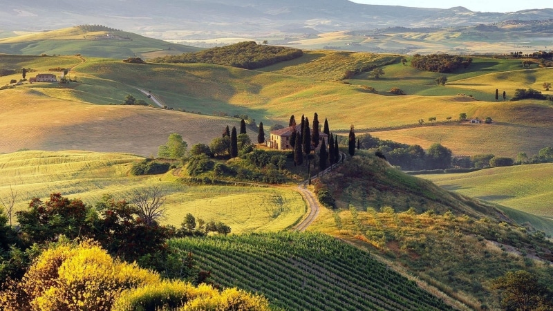 hills, 1080P, rural scene, plant, leafed, tree, green color, landscape, idyllic, green, field, beauty in nature, land, nature, non-urban scene, Italy