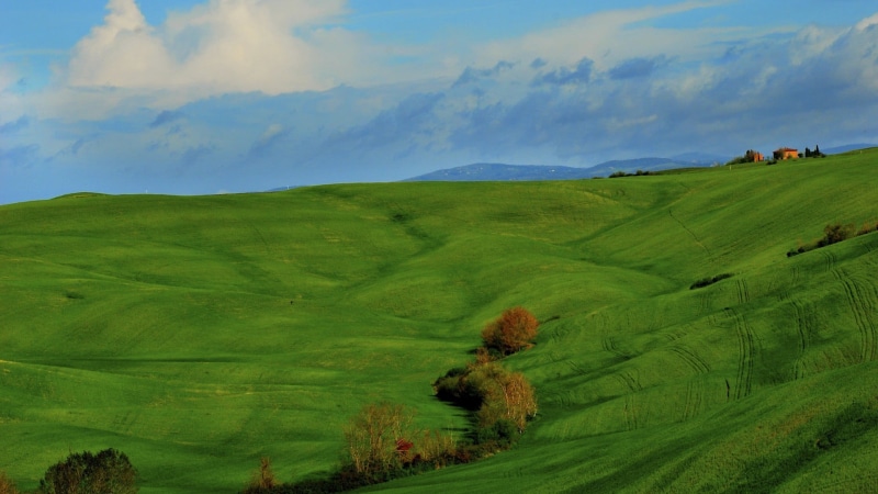 outdoors, Tuscany, cloud - sky, tranquility, growth, farm, rolling landscape, rural scene, land, agriculture, sky, trees, beauty in nature, no people, nature