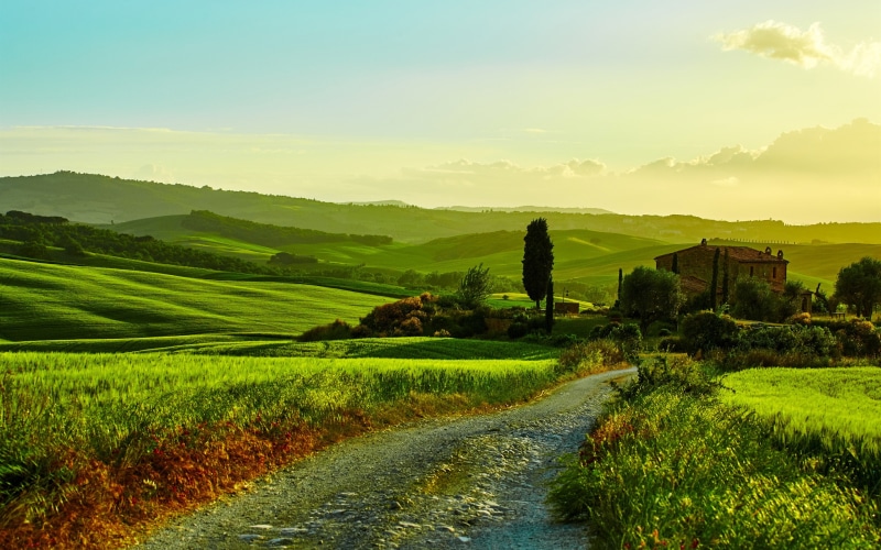 Trees, Landscape, Italy, Fields, Beautiful, Road, 2K, House, Grass, Tuscany