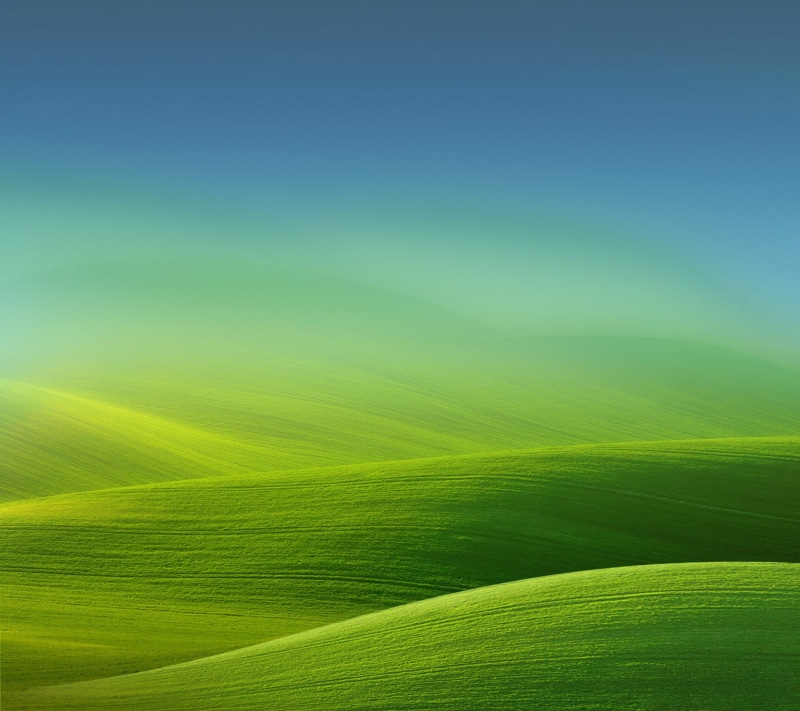 field, backgrounds, no people, simple, leaf, rolling landscape, environment, tranquil scene, rural scene, beauty in nature, grass, outdoors