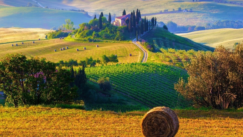 terraced field, beauty in nature, environment, idyllic, tree, field, rural scene, nature, bale, rolling landscape, green color, Tuscany, agriculture, day