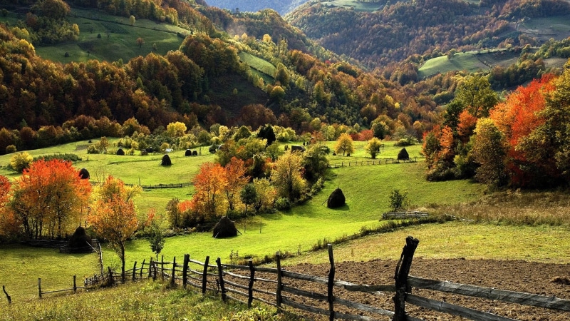 environment, europe, grass, italy, woodland, autumn, no People, fence, forest, growth, landscaped, house, land, agriculture, non-Urban Scene, haystacks