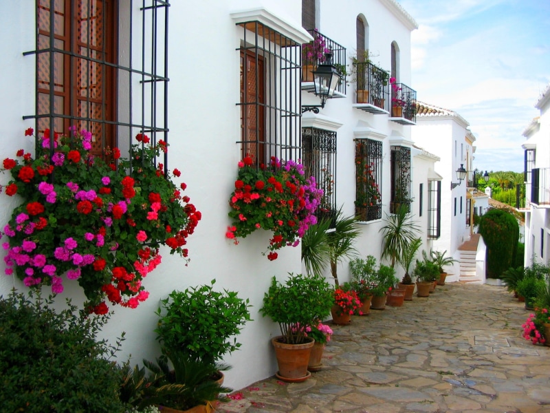 House, built Structure, flowering plant, flower, pathway, day, city, window, assorted, cultures, hanging, building, freshness, 1080P, Street, sky, White