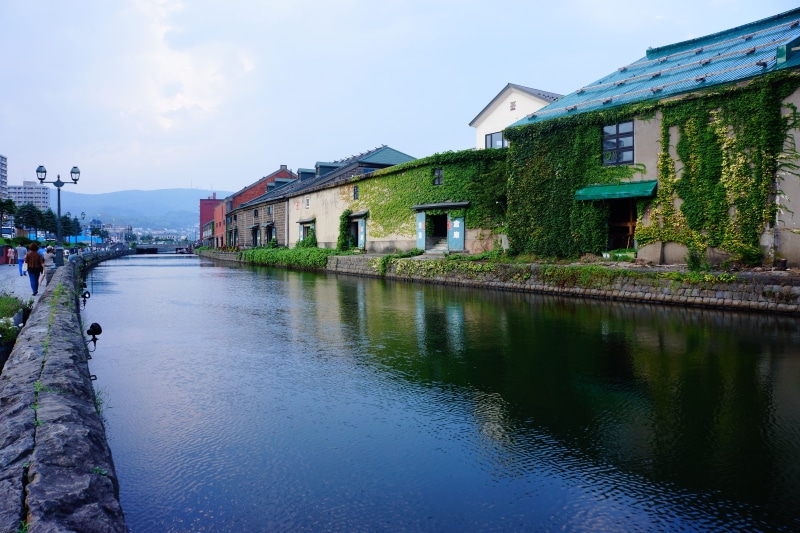 tree, street, architecture, residential district, nature, sky, built structure, water, day, houses, Hokkaido, river, house, building, Otaru, near, plant