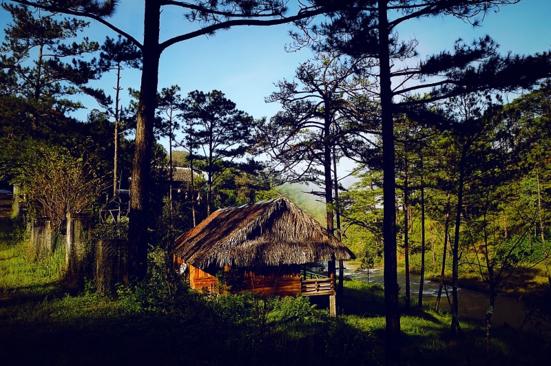 built structure, beauty in nature, outdoors, house, land, nature, sky, tranquil scene, hut, tranquility, woodland, Vietnam, architecture, tree, Golden Valley