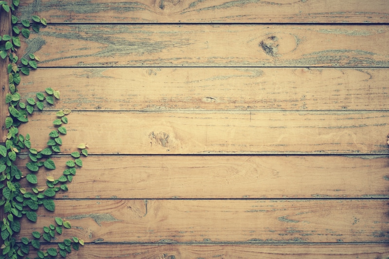 close-up, rough, day, wood - material, high angle view, timber, nature, leaves, flooring, pattern, hardwood, textured, hardwood floor, indoors, leaf, full frame