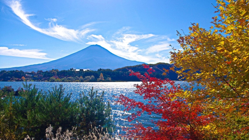 tranquility, plant, cloud - sky, beauty in nature, tree, landscape, snowcapped mountain, day, outdoors, travel destinations, change, water, autumn, lake