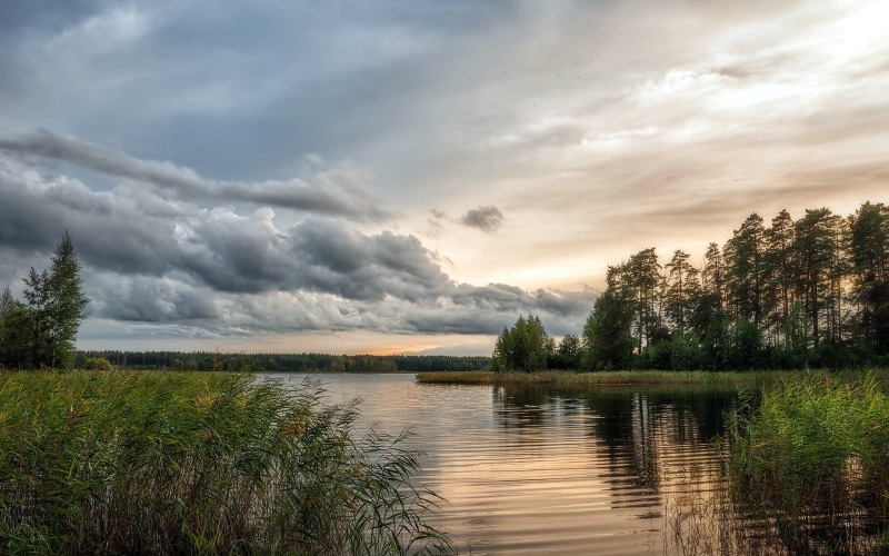 Trees, Lake, Water, Nature, Sky, Scenery, 1080P, Beautiful, Cloudy