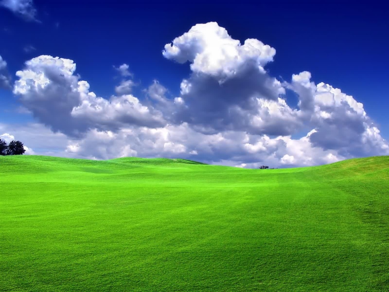 beautiful, sport, Nature, green - golf course, Scenery, outdoors, sky, backgrounds, greenland, tranquility, vibrant color, scenics - nature, landscaped