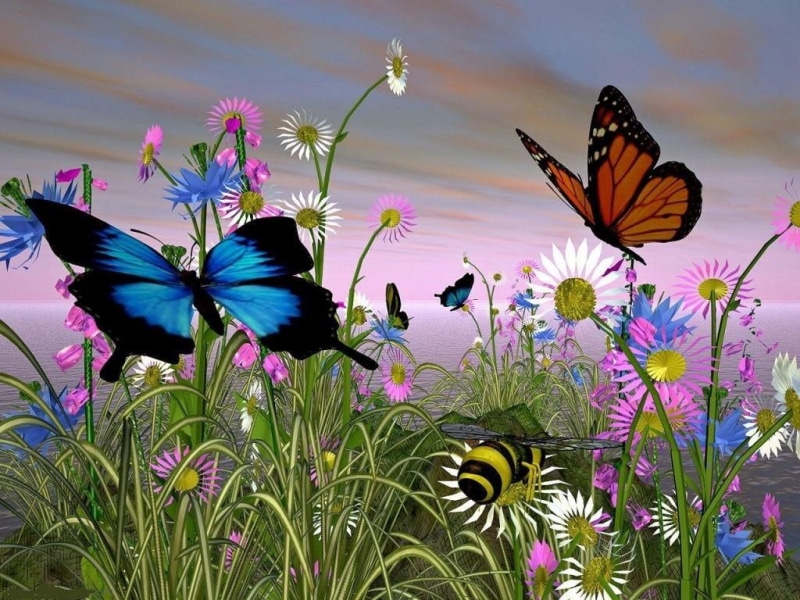 3d, nature, color, hd, beautiful, butterfly, spring, butterflies, animals, 480P, d
