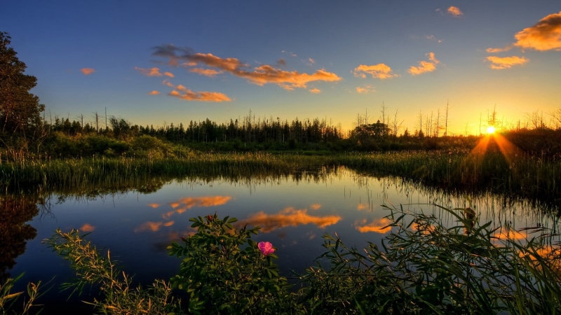 beautiful nature  for desktop background 1920x1080, 1080P
