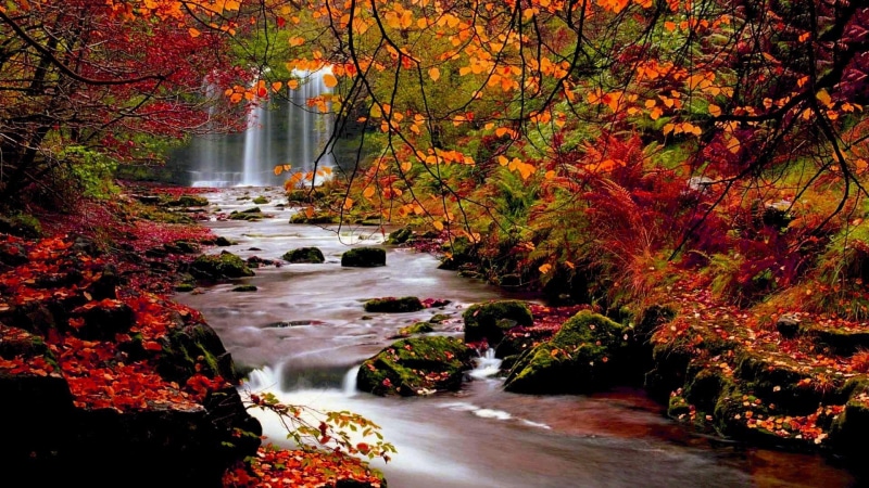 waterfalls, 1080P, desktop, autumn, background, nature, landscape, trees, images, leaf, leaves