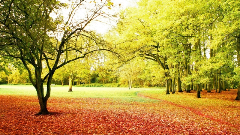 for desktop nature scenes beautiful scenery 1920x1080, 1080P