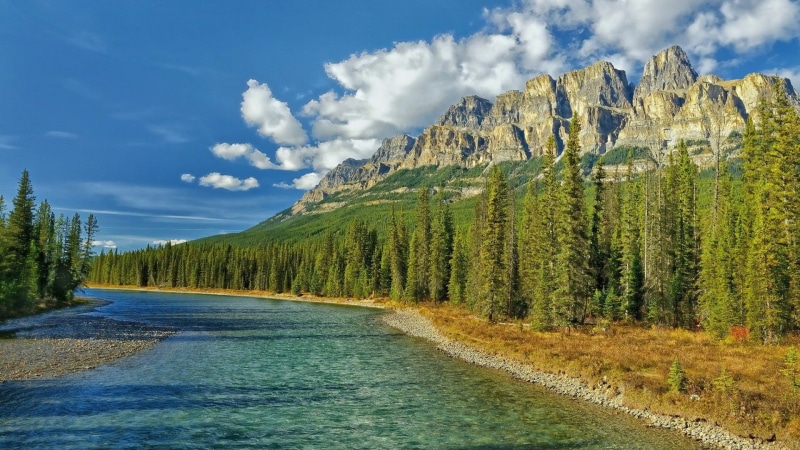 land, pine tree, tranquil scene, beauty in nature, day, nature, idyllic, tranquility, plant, scenics - nature, formation, for desktop nature scenes beautiful scenery 1920x1080