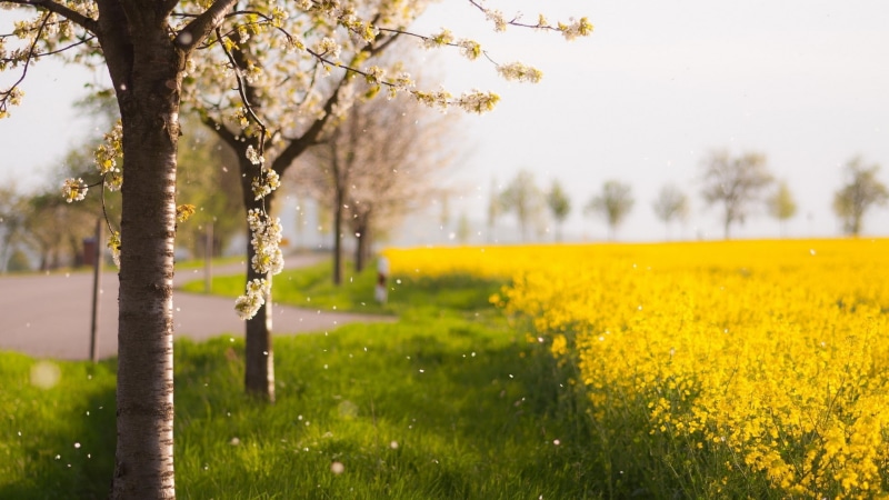 for desktop nature scenes beautiful scenery 1920x1080, 1080P