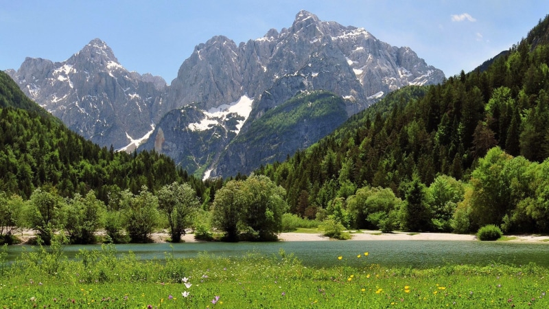 snowcapped mountain, land, grass, no people, 1080P, mountain, environment, sky, tranquil scene, lake, mountain range, pine woodland, non-urban scene, plant