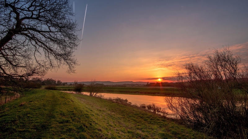 idyllic, environment, tranquil scene, beauty in nature, no people, plant, nature, non-urban scene, for desktop nature scenes beautiful scenery 1920x1080