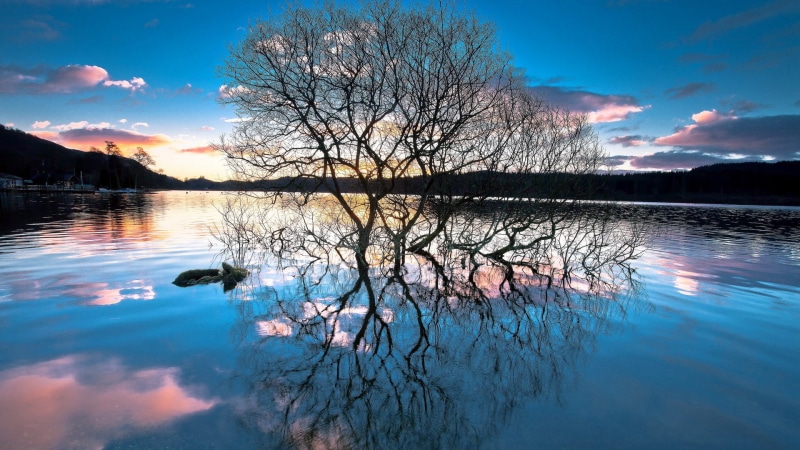 reflection, tree, reflection lake, beauty in nature, no people, bare tree, non-urban scene, sky, scenics - nature, lake, tranquility, blue, tranquil scene