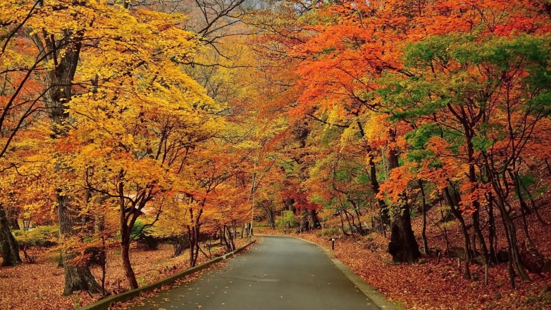 for desktop nature scenes beautiful scenery 1920x1080, 1080P