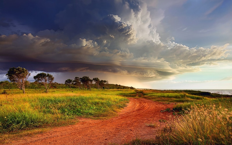 grass, the way forward, direction, trail, outdoors, rural scene, landscape, dirt road, cloud - sky, 1080P, scenics - nature, growth, tranquility, sky