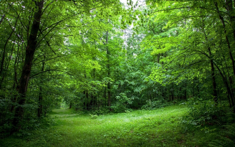1080P, backgrounds for computer nature 1920x1200