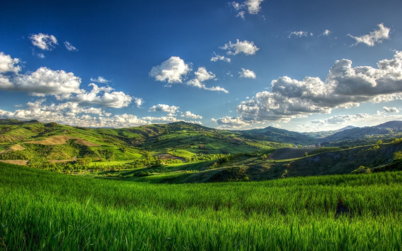 green, landscape, sunny, 1080P, nature, green hills, sunny hills, hills