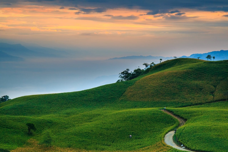 summer, grass, mountain, meadow, field, outdoors, Taiwan, tuscany, scenics, blue, sunset, sunlight, photography, yellow, IMG, landscape photography, 台灣
