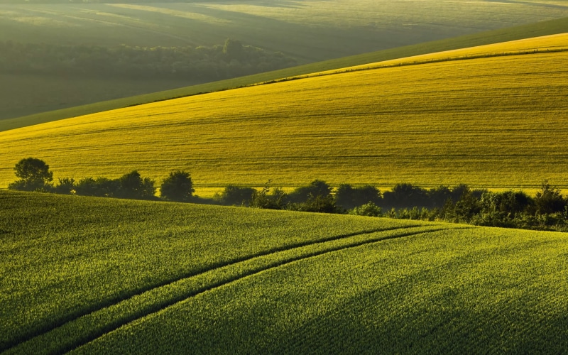 land, nature, landscape, trees, rolling landscape, grass, hills, idyllic, plants, green color, tranquility, outdoors, scenics - nature, farm, 2K, field