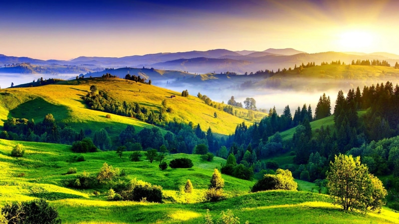 rolling landscape, scenics - nature, no people, meadow, mountain, environment, 1080P, beauty in nature, grassland, morning, tranquility, field, forest
