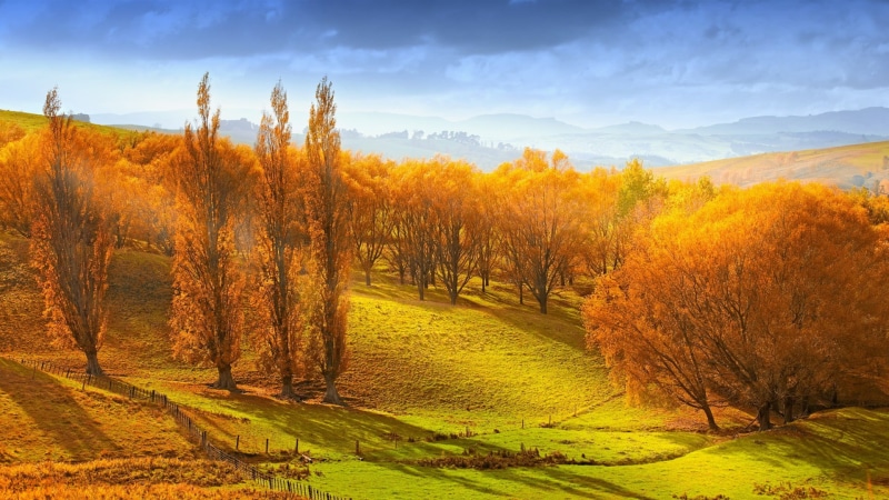 sunlight, growth, scenics - nature, autumn collection, fall, sky, outdoors, nature, tranquility, hill, grass, beauty in nature, landscape, cloud - sky