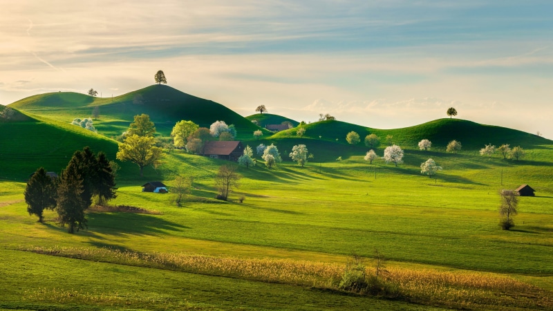 meadow, field, springtime, highland, spring, pasture, rural area, hill, plain, landscape, nature, countryside, grassland, farm, sky, 4K