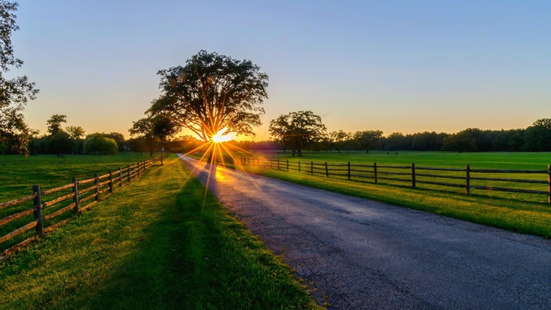 tranquility, scenics - nature, sunrise, pasture, diminishing perspective, sunlight, tranquil scene, sunset, barrier, land, dawn, morning, green color, grassland