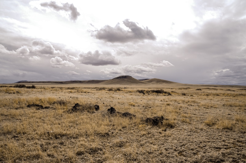 arid climate, outdoors, land, ground, environment, 5K, herbivorous, savanna, desert, field, new mexico, cloud - sky, scenery, mammal, plateau, livestock
