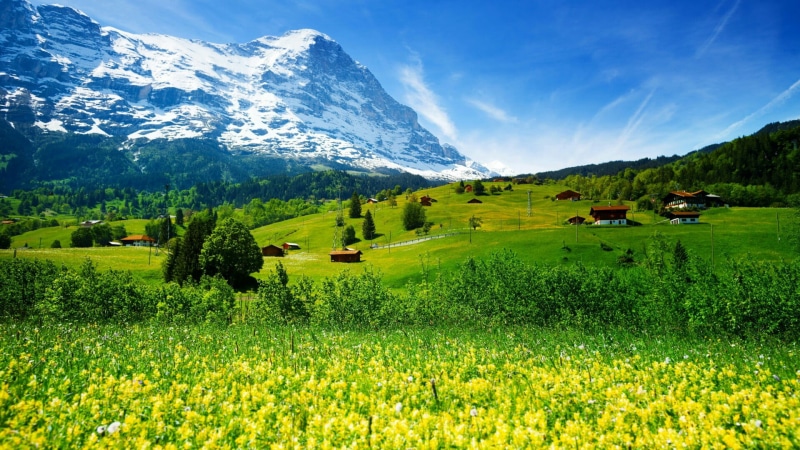 europe, idyllic, land, flowering plant, spring, field, mountain range, plant, nature, tranquil scene, sky, green color, outdoors, landscape, snow, no people