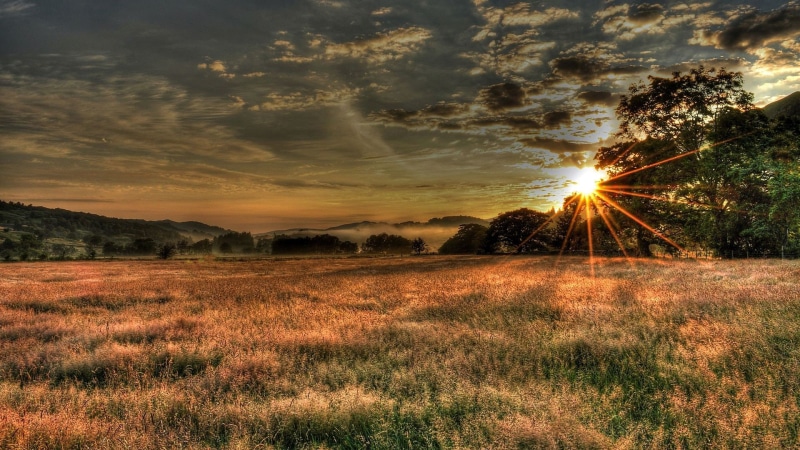weather, cloud, agriculture, harvest, grass, country, spring, clouds, farm, tree, outdoors, summer, cloudy, outdoor, scenery, land, plain, meadow, natural