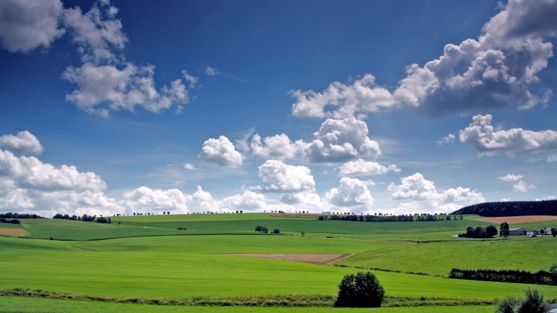 country, plant, outside, nature, environment, green color, cloudscape, no people, agriculture, outdoor, weather, farmland, clear, tranquility, landscape