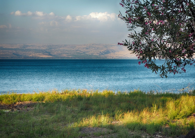 grass, tiberias, land, plant, cloud - sky, lake, tranquility, tree, travel, scenics - nature, belief, outdoor, nature, jesus, faith, sea, non-urban scene