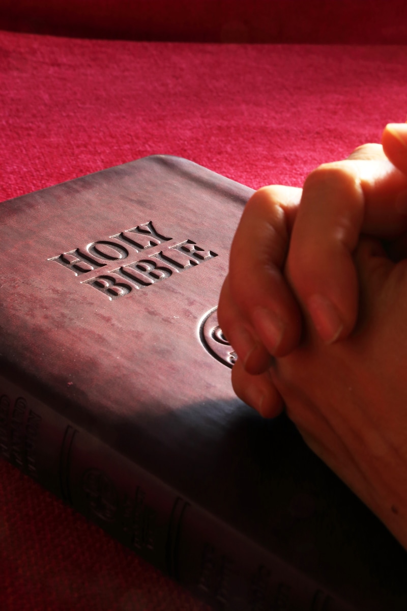 finger, message, one person, red, faith, church, person, human finger, study, christ, pray, close-up, religious Text, scripture, hands, christianity, cross