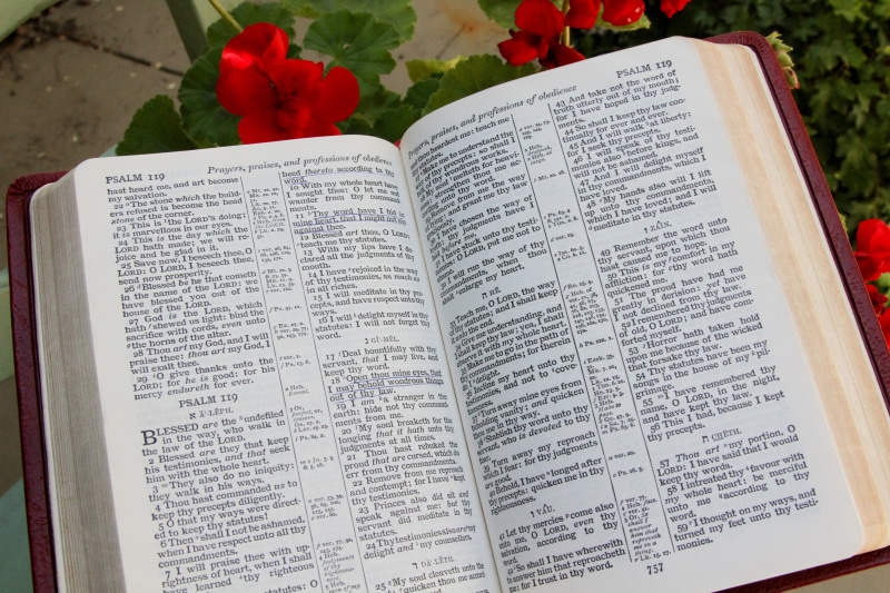 bible, word, pages, religion, spirituality, still life, paper, education, no people, psalm, christianity, nature, book, arts culture and entertainment