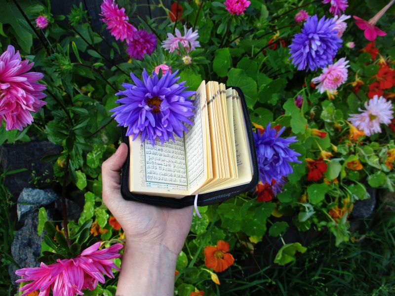 reading, book, human hand, finger, human body part, close-up, fragility, purple, 5K, prayer, petal, freshness, personal perspective, god, design, inflorescence