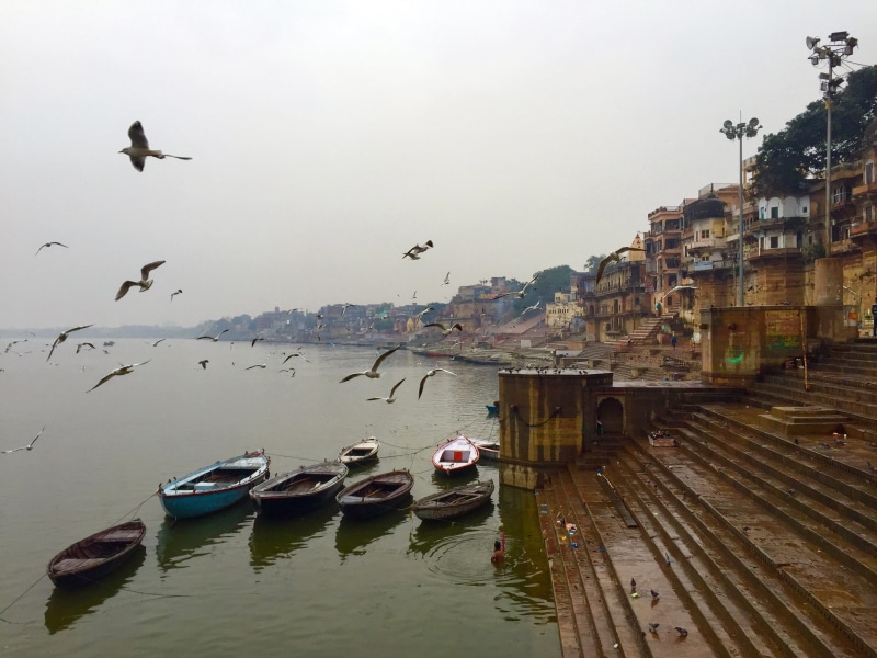 animal, outdoors, village, religion, varanasi, religious, boats, mode of transportation, ganga, ganges River, ghats, people, india, architecture, sea, culture