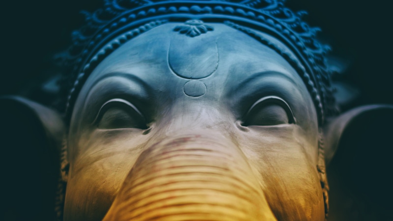 close-up, Lord, animal eye, Ganesha, 5K, nature, sea, animals in the wild, animal body part, vertebrate, water, one animal, fish, sea life, animal, k