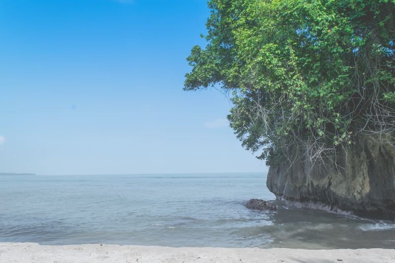 horizon over water, tree, sea, beauty in nature, trees, 5K, plant, anyar, tranquil scene, wave, beach, water, sand, blue, tranquility, no people, land