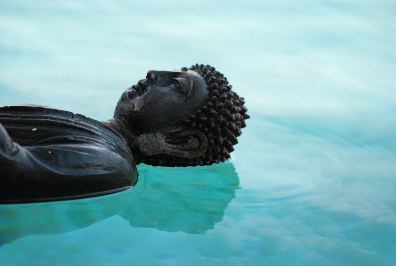 one animal, close-up, buddhism, spiritual, peace, yoga, image, eastern, body, reflection, lake, animal themes, brightness, river, meditation, figurine