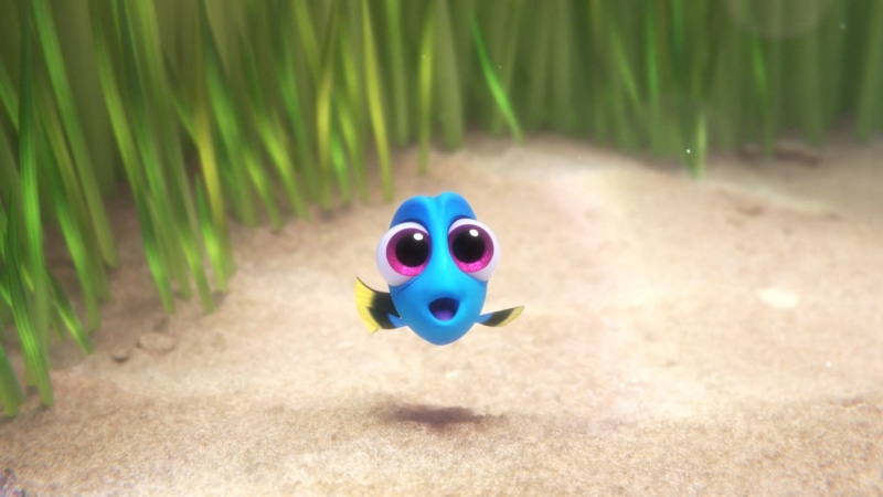 1080P, Pixar Animation Studios, nature, focus on foreground, high angle view, movies, no people, single object, day, blue, representation, grass, land