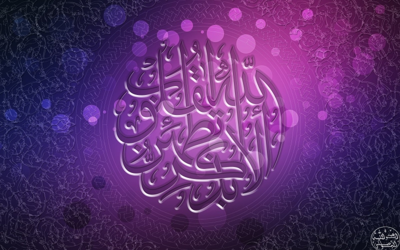 plant, lighting equipment, Muslim, indoors, pink color, abstract, design, creativity, purple, metal, blue, illuminated, no people, art and craft, circle